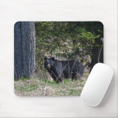 Grazing Wilde Black Beer Wildlife Foto Muismat (Met muis)