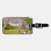 Grazing Zebra Bagagelabel (Voorkant horizontaal)