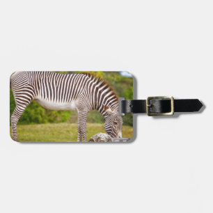 Grazing Zebra Bagagelabel