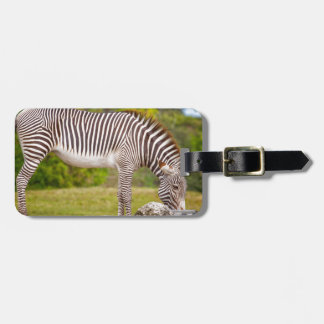 Grazing Zebra Bagagelabel