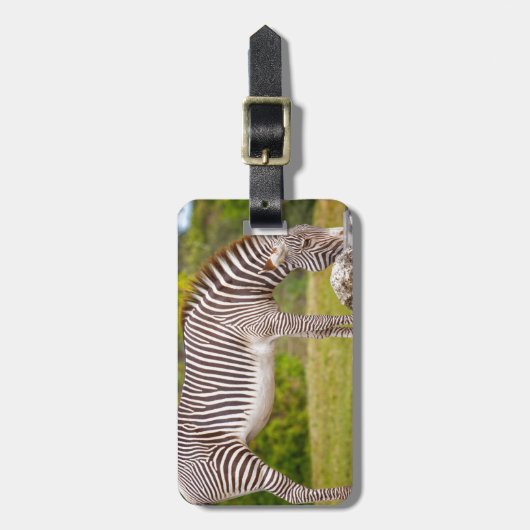 Grazing Zebra Bagagelabel (Voorkant verticaal)
