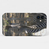 Grazing Zebra iPhone 5 hoesje (Achterkant (horizontaal))