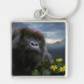 Great Apes Gorilla Primate Wildlife Sleutelhanger (Voorkant)