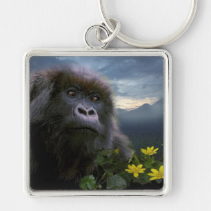 Great Apes Gorilla Primate Wildlife Sleutelhanger