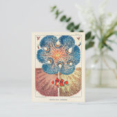 Great Barrier Reef Anemones Carol Fish Briefkaart (Staand voorkant)