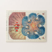 Great Barrier Reef Anemones Carol Fish Legpuzzel (Horizontaal)