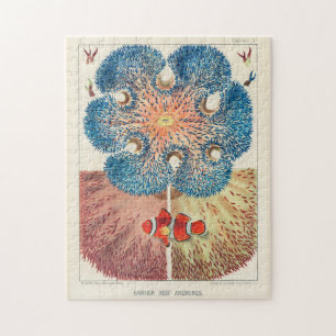 Great Barrier Reef Anemones Carol Fish Legpuzzel