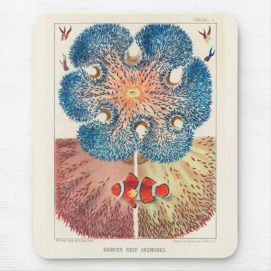  Great Barrier Reef Anemones Carol Fish Muismat (Voorkant)