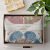 Great Barrier Reef Anemones Carol Fish Tissuepapier (Geschenk)