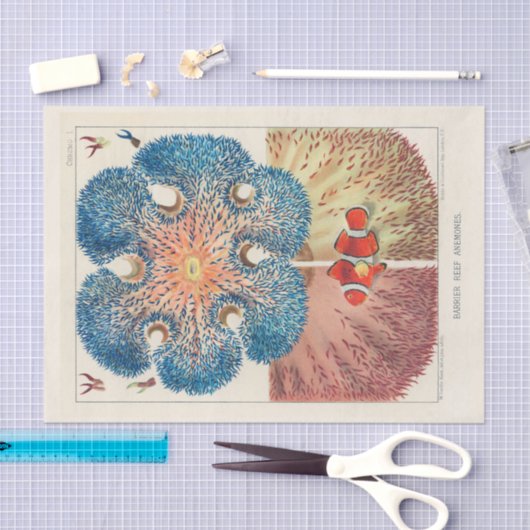  Great Barrier Reef Anemones Carol Fish Tissuepapier (Craft)