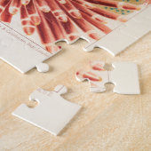 Great Barrier Reef Australia Echinoderms Legpuzzel (Zijkant)