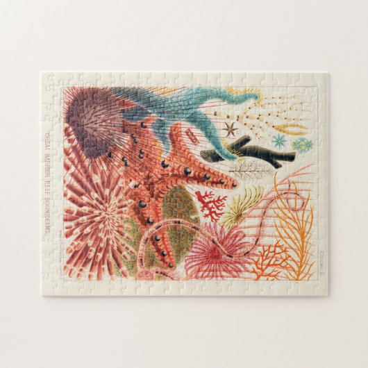 Great Barrier Reef Australia Echinoderms Legpuzzel (Horizontaal)