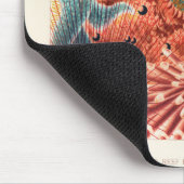 Great Barrier Reef Australia Echinoderms Muismat (Hoek)