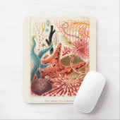 Great Barrier Reef Australia Echinoderms Muismat (Met muis)