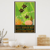 Great Barrier Reef Australia  Poster (Keuken)