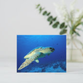Great Barrier Reef, Australië 2 Briefkaart (Staand voorkant)