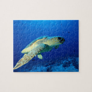 Great Barrier Reef, Australië 2 Legpuzzel