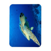 Great Barrier Reef, Australië 2 Magneet (Verticaal)