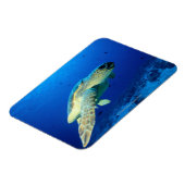 Great Barrier Reef, Australië 2 Magneet (Linkerzijde)