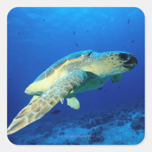 Great Barrier Reef, Australië 2 Vierkante Sticker (Voorkant)