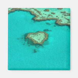 Great Barrier Reef, Australiëhartkoraal Magneet