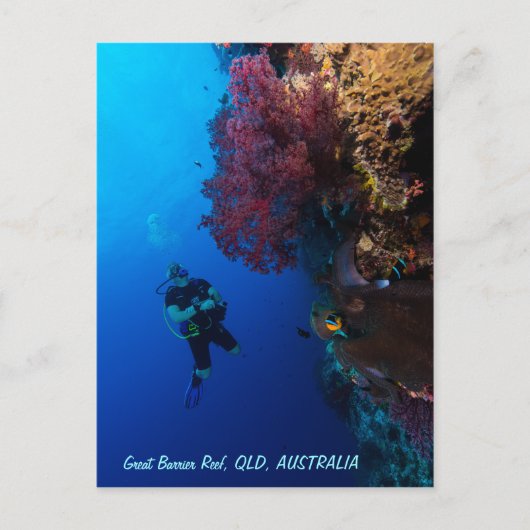 Great Barrier Reef Briefkaart (Voorkant)