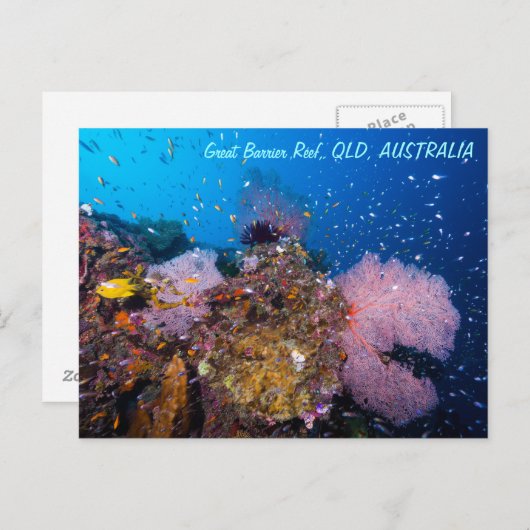 Great Barrier Reef Briefkaart (Voorkant / Achterkant)