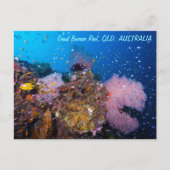 Great Barrier Reef Briefkaart (Voorkant)