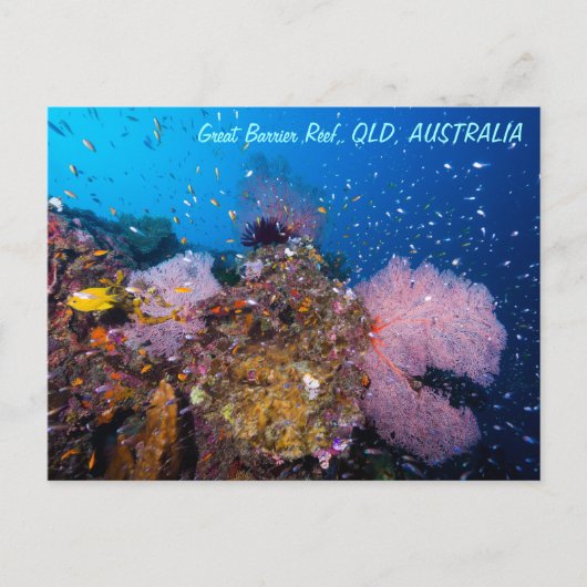Great Barrier Reef Briefkaart (Voorkant)
