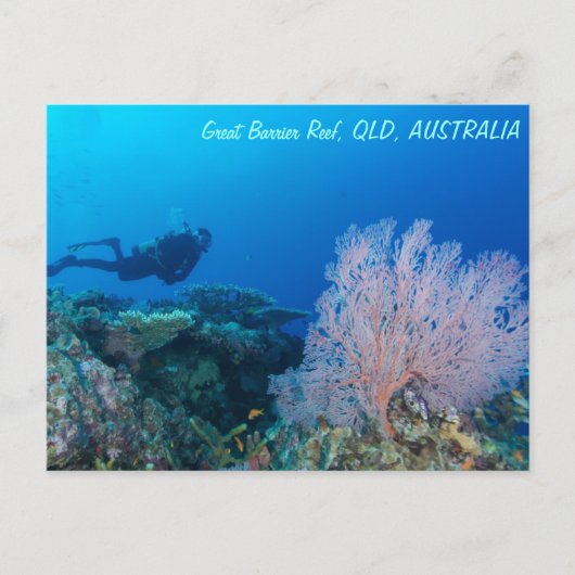 Great Barrier Reef Briefkaart (Voorkant)