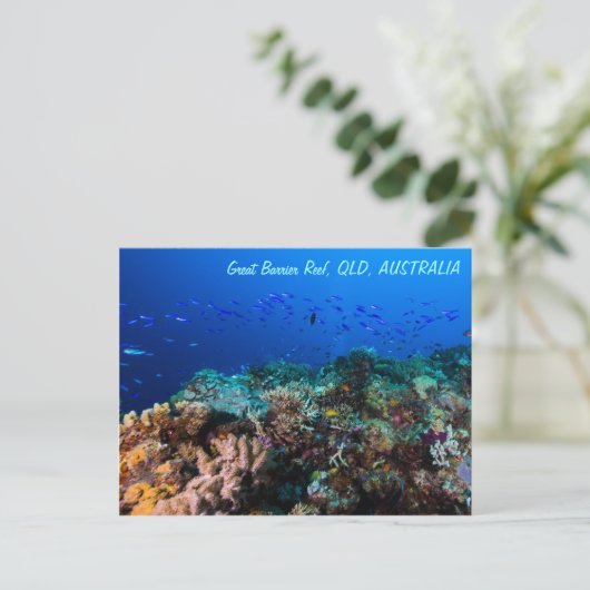 Great Barrier Reef Briefkaart (Staand voorkant)