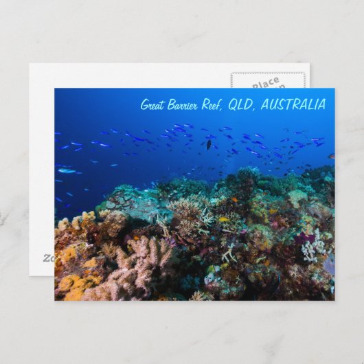 Great Barrier Reef Briefkaart (Voorkant / Achterkant)