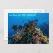 Great Barrier Reef Briefkaart (Voorkant / Achterkant)