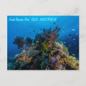 Great Barrier Reef Briefkaart (Voorkant)