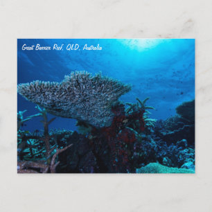 Great Barrier Reef Briefkaart
