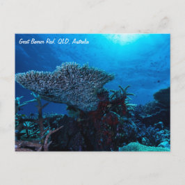 Great Barrier Reef Briefkaart