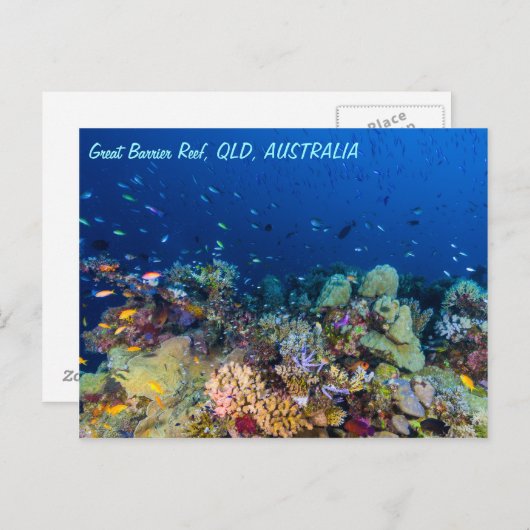 Great Barrier Reef Briefkaart (Voorkant / Achterkant)