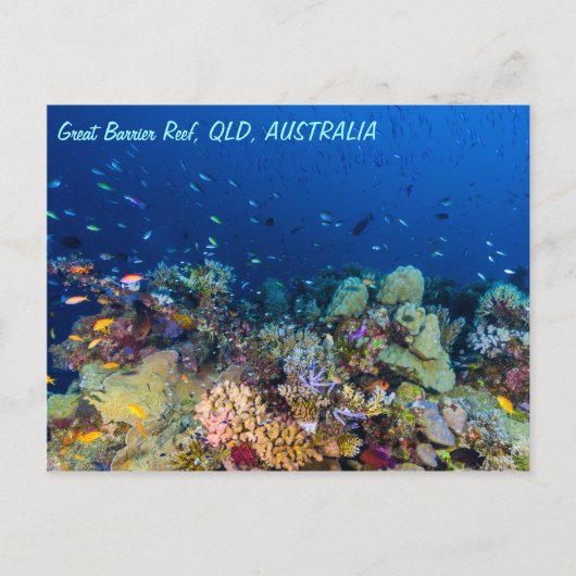Great Barrier Reef Briefkaart (Voorkant)