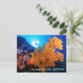 Great Barrier Reef Briefkaart (Staand voorkant)