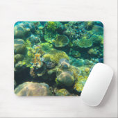 Great Barrier Reef Coral - #2 Muismat (Met muis)