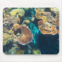 Great Barrier Reef Coral - #3