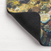 Great Barrier Reef Coral - #4 Muismat (Hoek)