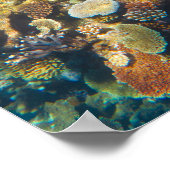 Great Barrier Reef Coral - #4 Poster (Hoek)