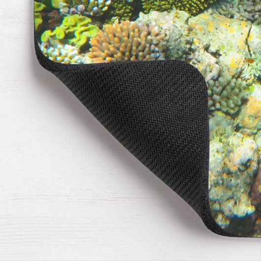 Great Barrier Reef Coral - #5 Muismat (Hoek)