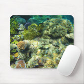 Great Barrier Reef Coral - #5 Muismat (Met muis)