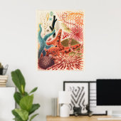 Great Barrier Reef Echinoderms, Poster (Thuiskantoor)