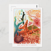 Great Barrier Reef Echinoderms | VINTAGE Briefkaart (Voorkant / Achterkant)