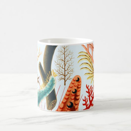 Great Barrier Reef Echinoderms | VINTAGE Koffiemok (Center)