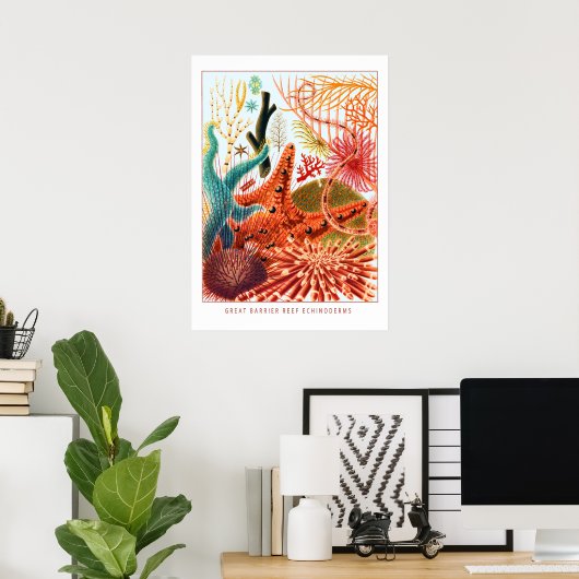 Great Barrier Reef Echinoderms | VINTAGE Poster (Thuiskantoor)