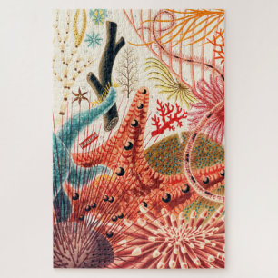Great Barrier Reef Echinoderms Zee Creatures Legpuzzel